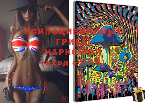 спиды Абинск