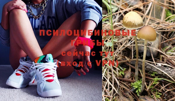 дживик Покачи