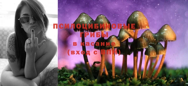 спиды Абинск