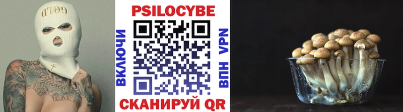 наркотики  Красный Сулин  Псилоцибиновые грибы прущие грибы 